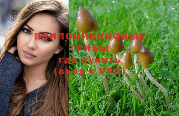 прущая мука Абинск