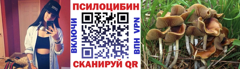 Галлюциногенные грибы Psilocybe  купить наркоту  Истра 